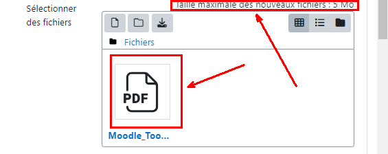 Un fichier PDF déposé la taille de ce fichier ne doit pas dépasser 5Mo