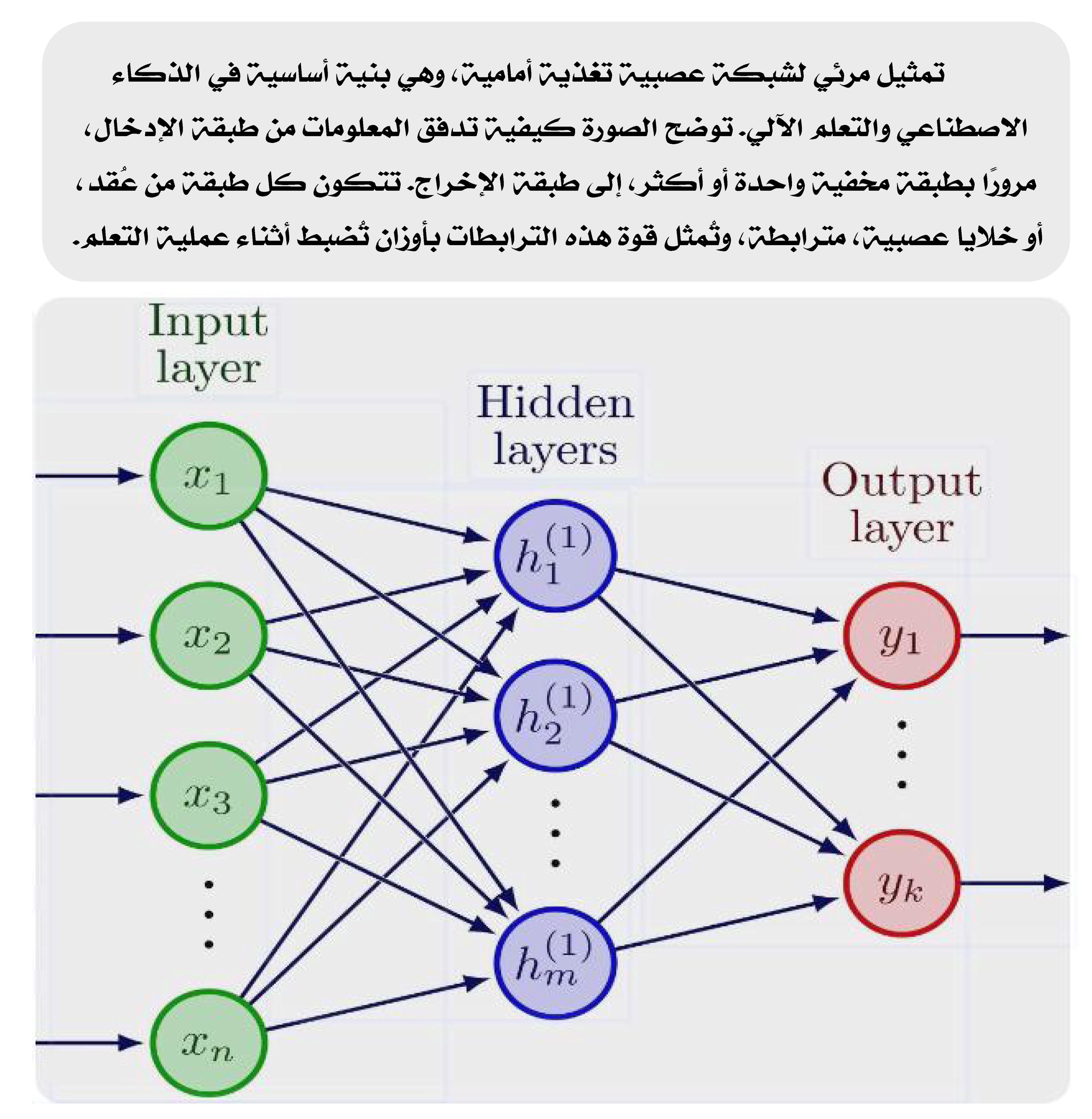 تمثيل مرئي لشبكة عصبية تغذية أمامية، وهي بنية أساسية في الذكاء الاصطناعي والتعلم الآلي